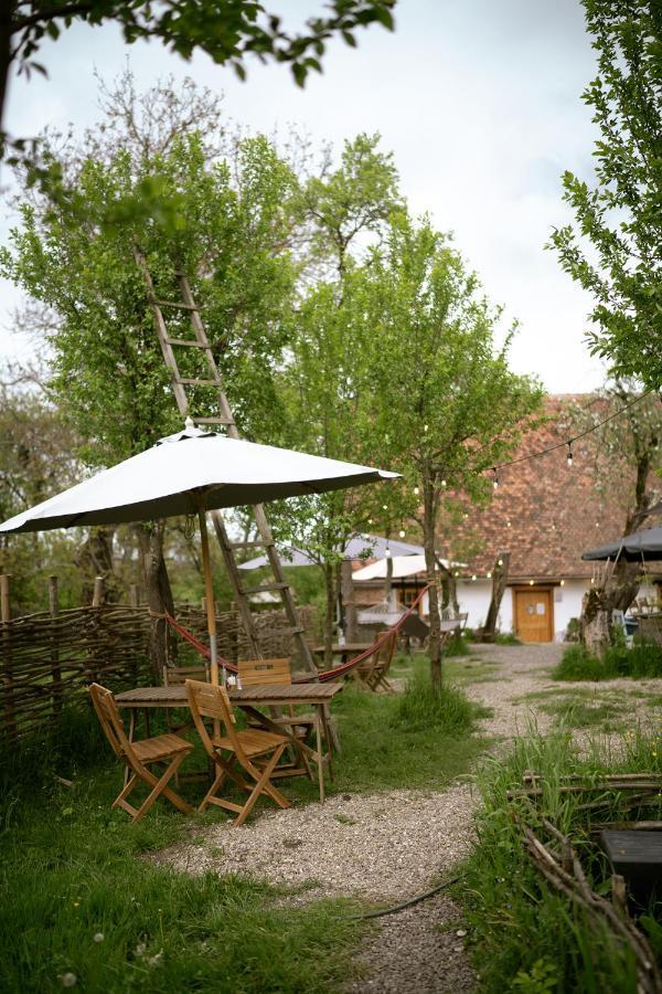 فندق Viscri 32 - White Barn And Blue House المظهر الخارجي الصورة