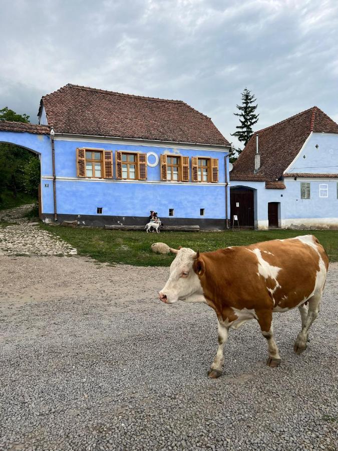فندق Viscri 32 - White Barn And Blue House المظهر الخارجي الصورة